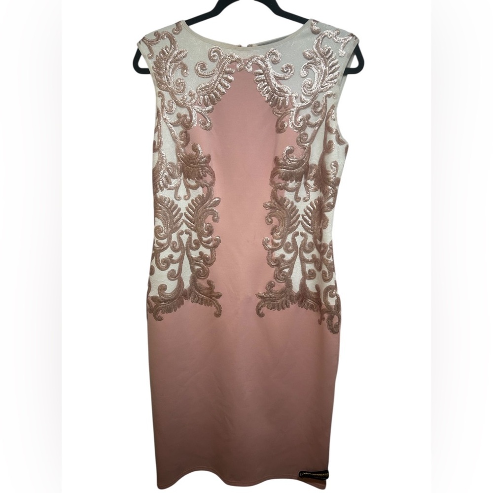 Tadashi Shoji Pink and Cream Mini Dress